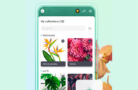 PictureThis best flower apps and flower identification apps for Android